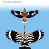 Flight Identification of European Passerines and Select Landbirds: An Illustrated and Photographic Guide