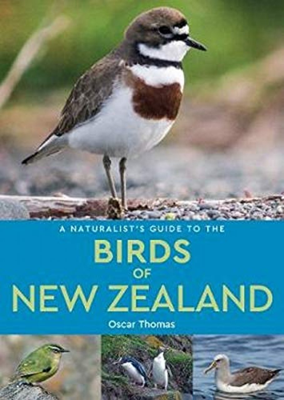 bird of new zealand book