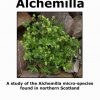 Alchemilla: A study of the Alchemilla micro-species found in northern Scotland