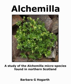 Alchemilla: A study of the Alchemilla micro-species found in northern Scotland