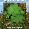 Alchemilla: Field guide to the Lady's-mantles of the British Isles