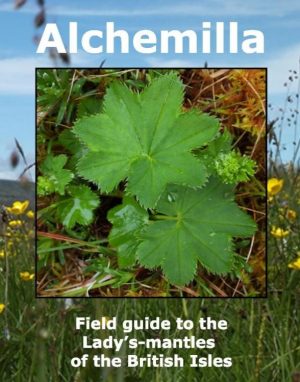 Alchemilla: Field guide to the Lady's-mantles of the British Isles