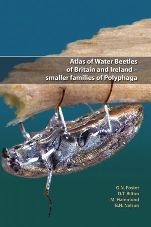 Cover of Atlas of Water Beetles book