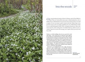 Example page from Woodland Flowers, Chapter One
