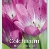 Cover of Colchicum the Complete Guide book