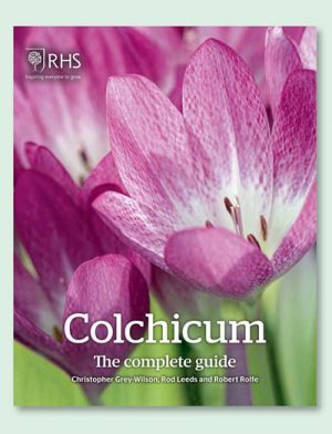 Cover of Colchicum the Complete Guide book