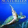 Sea Turtles: A Complete Guide to Their Biology, Behavior, and Conservation