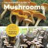 The Beginner's Guide to Mushrooms: Everything You Need to Know, from Foraging to Cultivating Cover