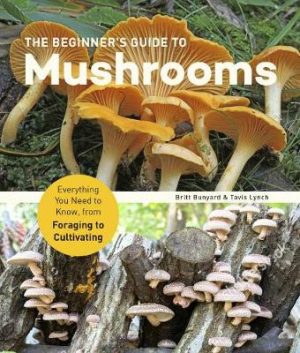 The Beginner's Guide to Mushrooms: Everything You Need to Know, from Foraging to Cultivating Cover