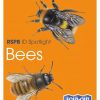 RSPB Id Spotlight - Bees fold out chart cover