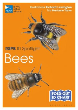 RSPB Id Spotlight - Bees fold out chart cover