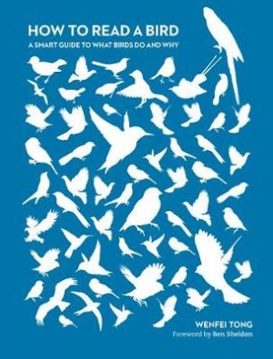 Cover of How to Read a bird book