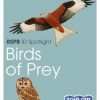 RSPB ID Spotlight - Birds of Prey fold out chart cover