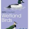RSPB ID Spotlight - Wetland Birds fold out chart cover