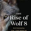 The Rise of Wolf 8: Witnessing the Triumph of Yellowstone's Underdog