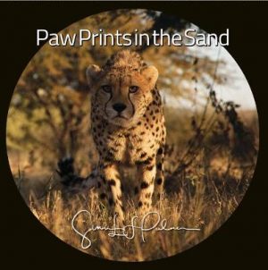 Paw Prints in the Sand: 2020