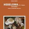 Hebeloma Supplement book cover