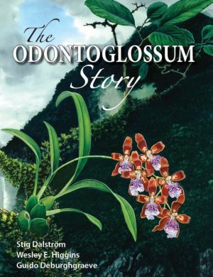 The Odontoglossum Story book cover