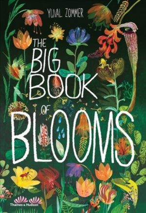 The Big Book of Blooms book cover