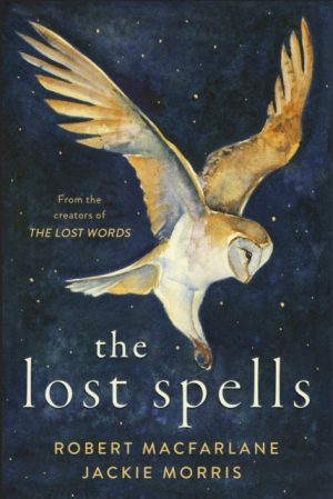 The Lost Spells book cover