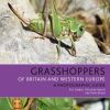 Grasshoppers of Britain and Western Europe