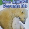 Raising Babies: What Animal Parents Do
