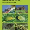 Aphids on Deciduous Trees - Naturalists’ Handbook 29