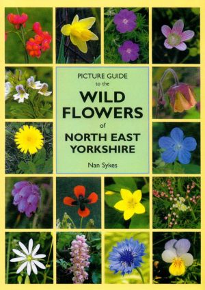Picture Guide to the Wild Flowers of North East Yorkshire