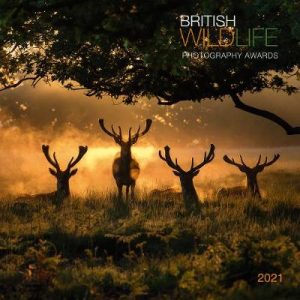 British Wildlife 2021 Calendar: British Wildlife Photography Awards 2021 Calendar