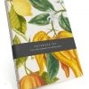Botanical Art Notebook Set: 3 A5 ruled notebooks with stitched spines