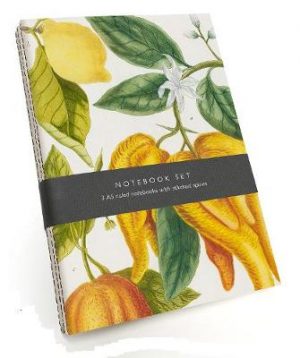 Botanical Art Notebook Set: 3 A5 ruled notebooks with stitched spines