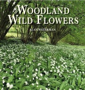 Woodland Wild Flowers: Season by Season