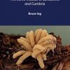 Biodiversity in the North West -The Slime Moulds of Lancashire and Cumbria book cover