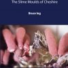 The Slime Moulds of Cheshire Bruce Ing book cover