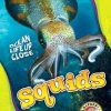 Squids