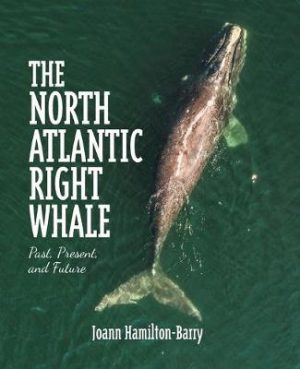 The North Atlantic Right Whale: Past, Present, and Future