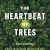 The Heartbeat of Trees: Embracing Our Ancient Bond with Forests and Nature