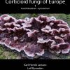 Corticoid Fungi of Europe book cover