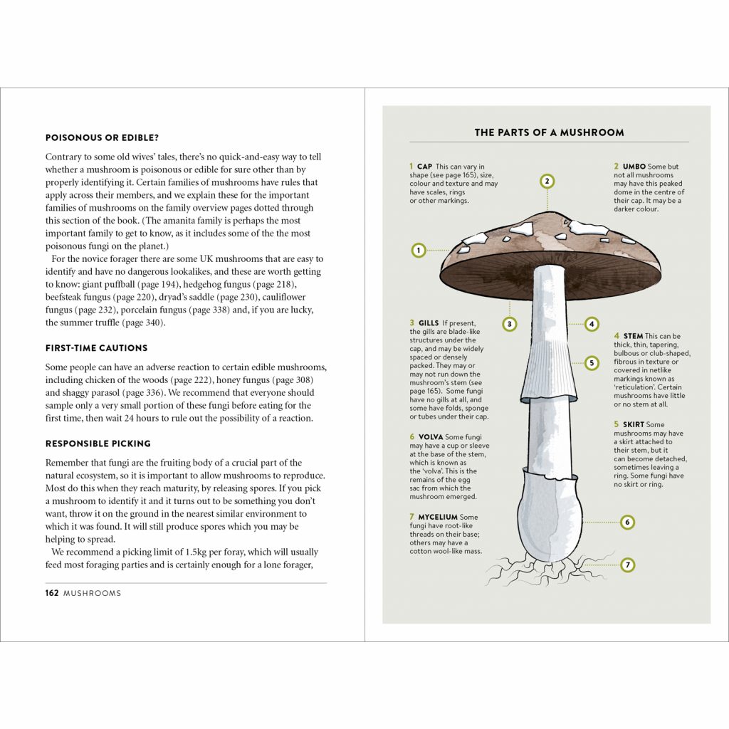 foraging-pocket-guide-from-summerfield-books