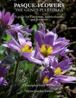 Pasque-Flowers: The Genus Pulsatilla book cover
