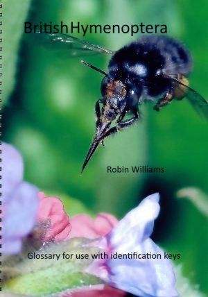 British Hymenoptera Glossary for Use with Identification Keys