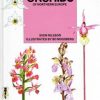 Orchids of Northern Europe Book Cover