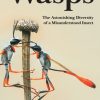 Wasps book cover