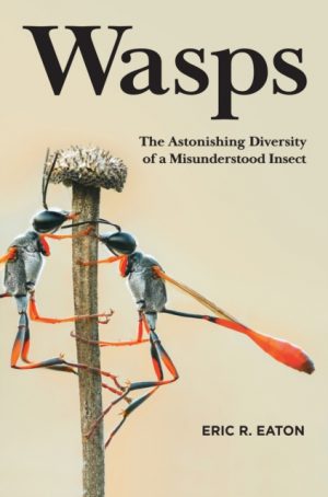 Wasps book cover