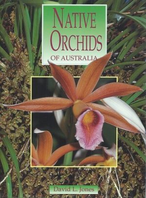 Native Orchids of Australia