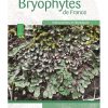 es-bryophytes-de-france-tome-1 book cover
