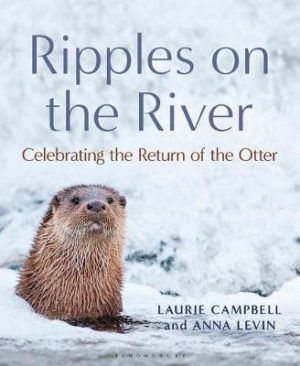 Ripples on the River: Celebrating the Return of the Otter