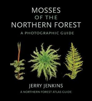 Mosses of the Northern Forest: A Photographic Guide