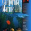 California Marine Life: A Guide to Common Marine Species