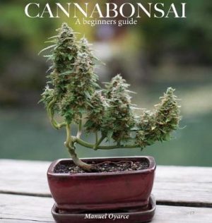 Cannabonsai: A Beginners Guide: A Beginners Guide